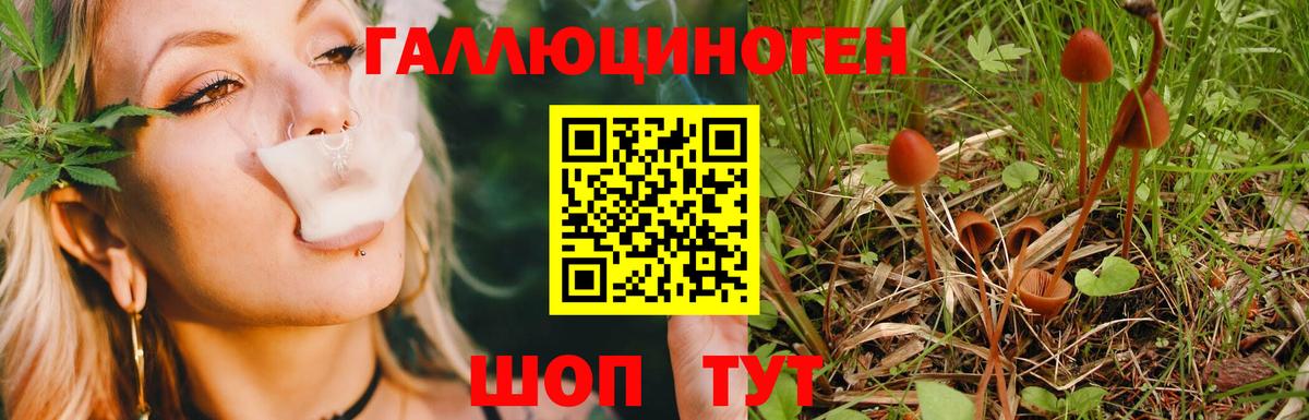 Псилоцибиновые грибы Magic Shrooms  Вход с VPN  Южноуральск 